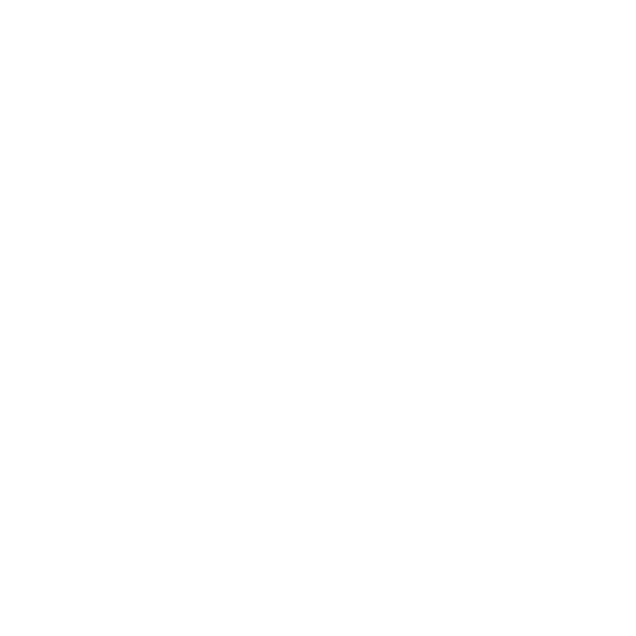 White Sports & Social® Philadelphia Logo
